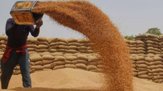 اقتصادي رابطه کونسل خيبر پښتونخوا لپاره د غنمو فراهمۍ منظوري ورکړې Economic Coordination Council approves wheat supply for Khyber Pakhtunkhwa